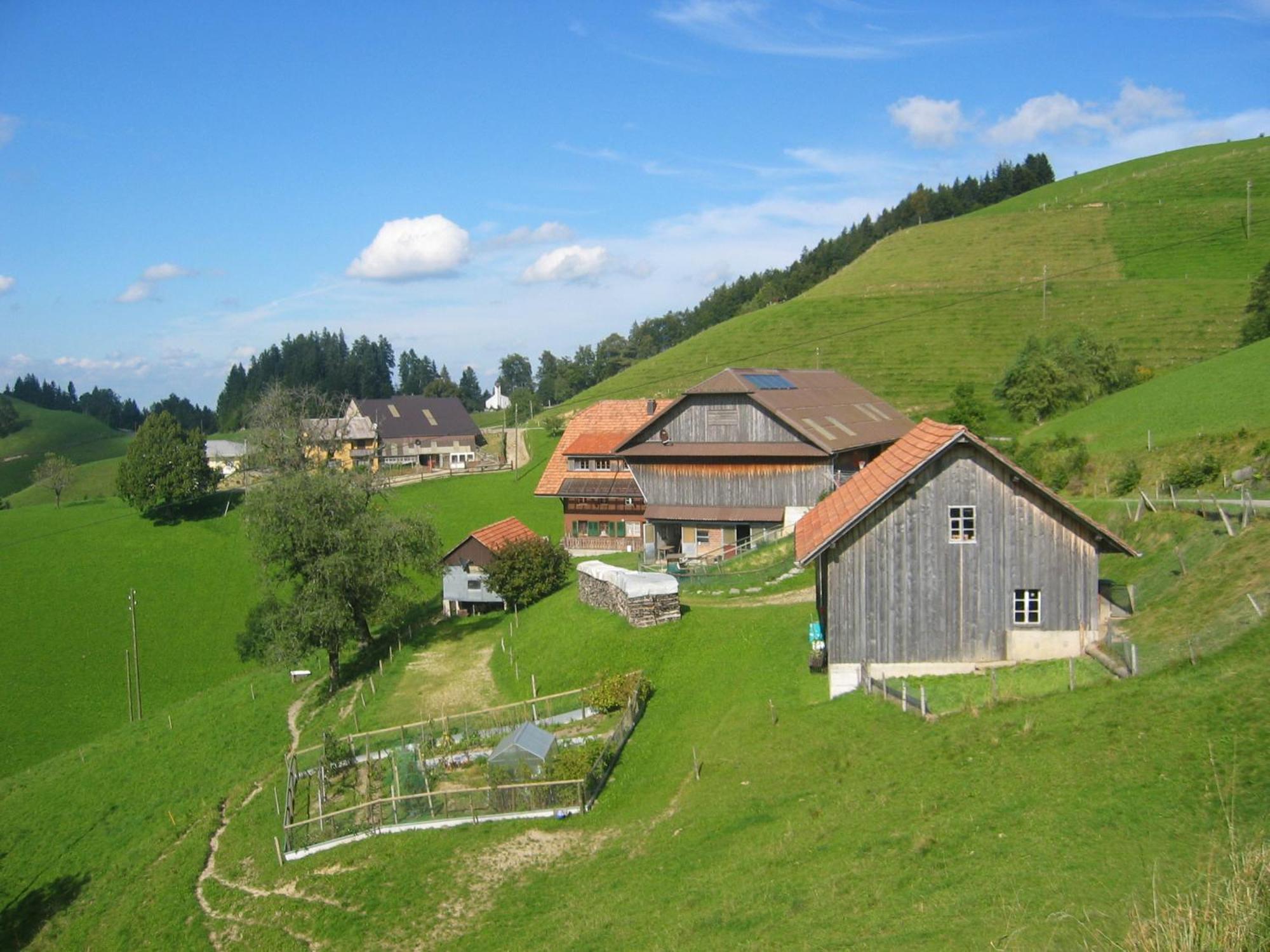 Apartment Ober-Tiefenbuehl Hergiswil Buitenkant foto